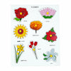 Tantrums Preschool Flower Wooden Educational Puzzle for Kids