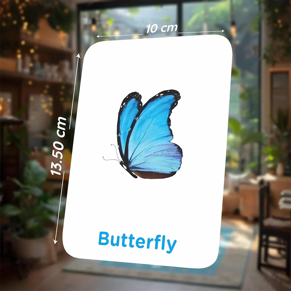 SPARTAN KIDS® Insect Flash Cards for Kids | 28 Early Learning Flash Cards Easy & Fun Way of Learning 1 Year to 6 Years Babies
