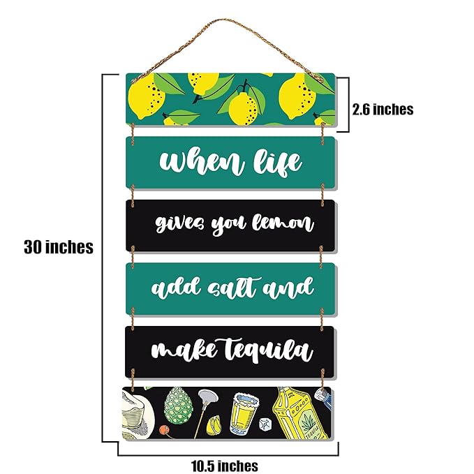 Sehaz Artworks house decoration items Wall Hangings decorative items for home  - 6-0009