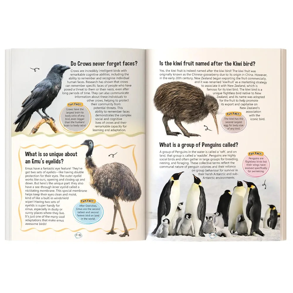 121 Reptiles, Insects & Birds Facts Book for Kids Ages 8+ | Educational Paperback with Colourful Images & Bold Text | 121 Curious Facts for All Ages by Majestic Book Club