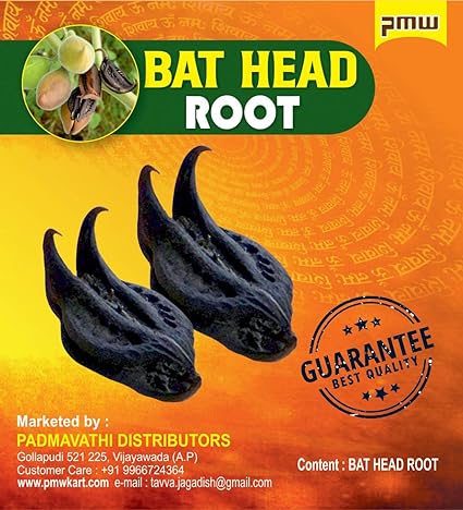 Pmw Bat Head Roots - 10 Pieces - Swadesi