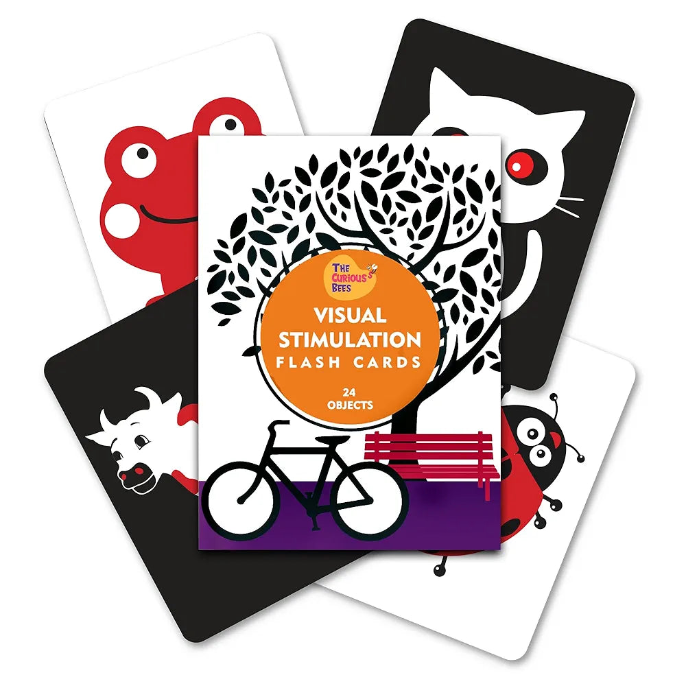 The Curious Bees - Visual Stimulation New Born Anti-Glare Cards | 24 Objects for Visual Colour Stimulation, Cognitive & Sensory Development of 6-12 Month Old Kids