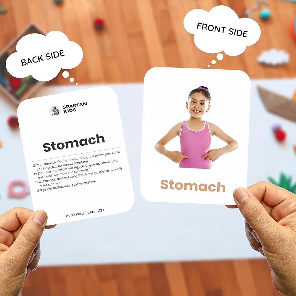 SPARTAN KIDS Body Parts Flash Cards for Kids | 27 Early Learning Flash Cards Easy & Fun Way of Learning 1 Year to 6 Years Babies, for Language_Skills