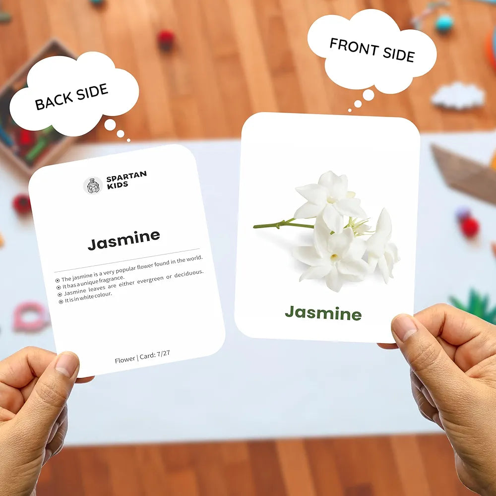 SPARTAN KIDS Flower Flash Cards for Kids | 27 Early Learning Flash Cards Easy & Fun Way of Learning 1 Year to 6 Years Babies, for Cognitive_Skills