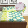 Divine Casa Cotton Acid Lime Bedsheet for Double Bed Elastic Fitted with 2 Pillow Covers  Calming Shells Colour Acid Lime