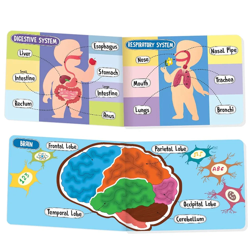 The Book Tree Picturepedia of My Body I Board Book for Kids Age 2+ I Bright & Colourful Pictures I Easy-to-Read Word Labels I Builds Vocabulary I Early Learning Picture Books for Children by Majestic Book Club