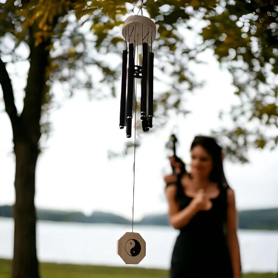 Paradigm Pictures 6 Pipe Wind Chimes for Home