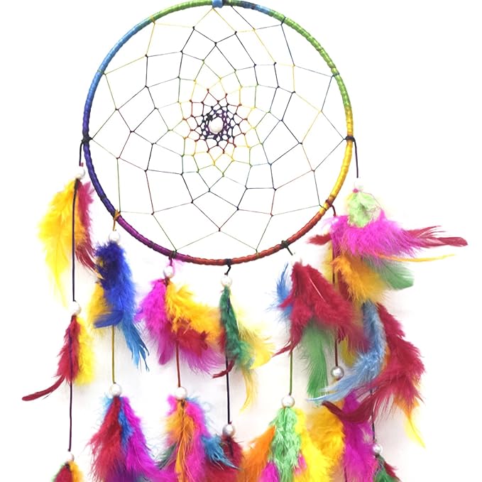 Asian Hobby Crafts Dream Catcher Wall Hanging | Multicolour
