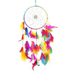 Asian Hobby Crafts Dream Catcher Wall Hanging | Multicolour