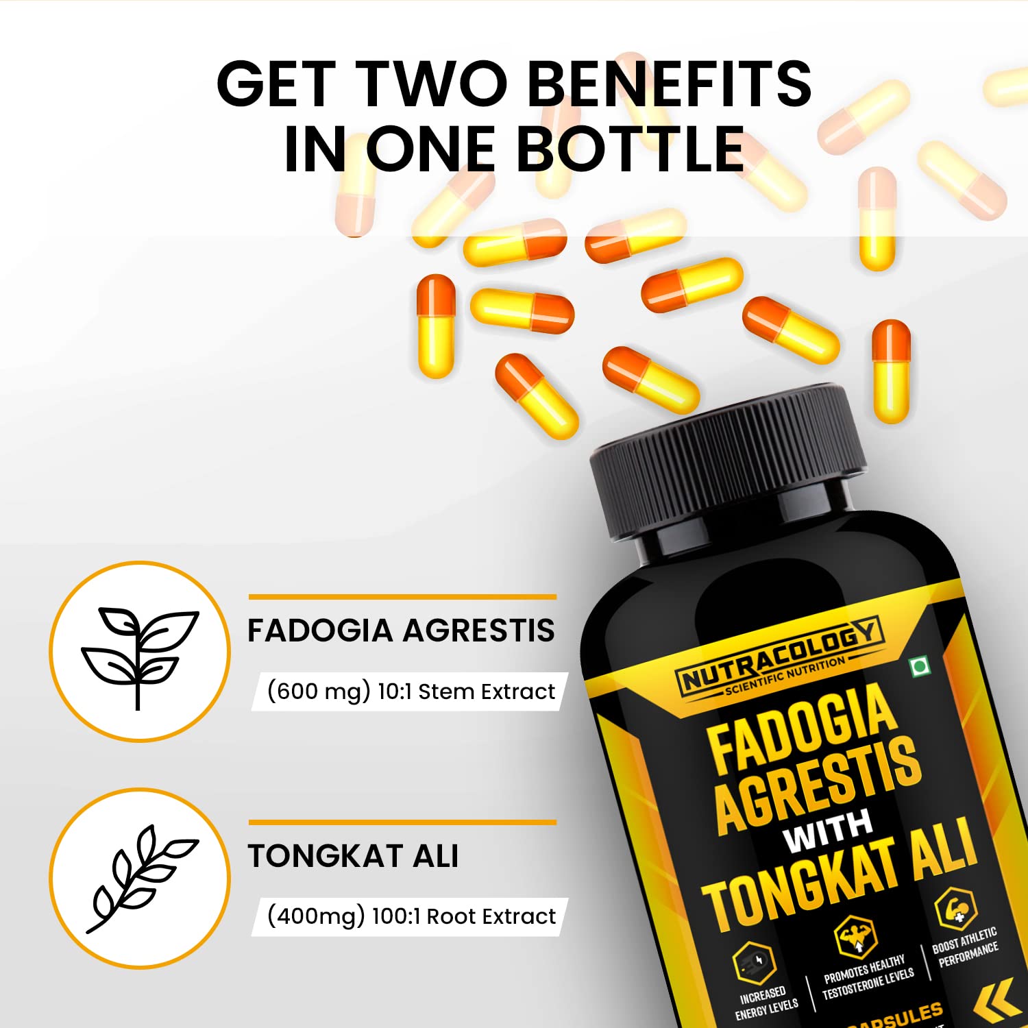 Nutracology Fadogia Agrestis 600mg with Tongkat Ali Capsules - 60 Caps