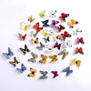 Jaamso Royals Multicolour 3d Butterflies Stickers for Wall 30CM X 21CM Set of 2