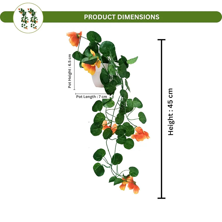 Artificial Flower Vine Plants Falling with Small Size Pot Natural Touch & Feel Pack of 2  DESIGN-03