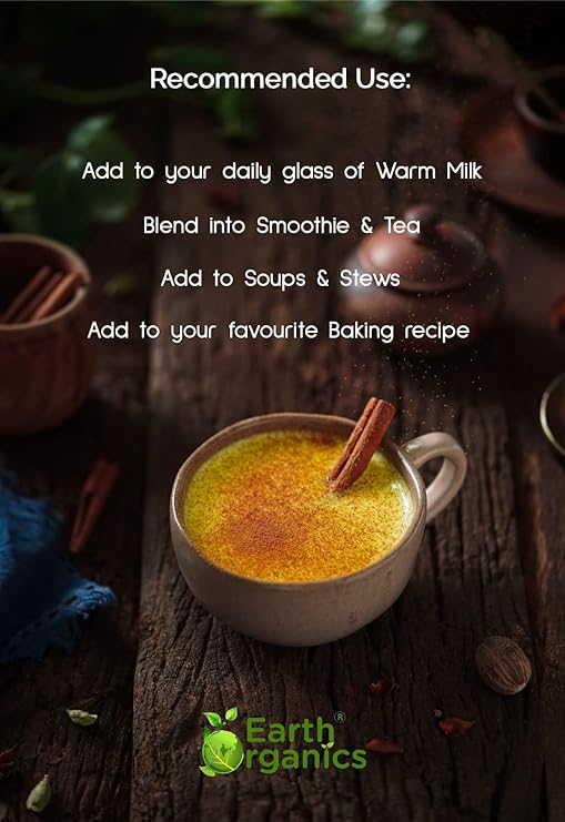 Earth Organics Organic Turmeric Latte - 198 gms