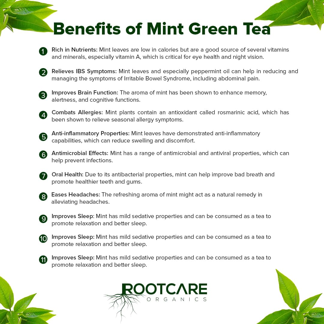 Rootcare Organics Premium Mint Green Tea - 100 gms
