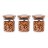 Femora Borosilicate Glass Jar With Golden Metallic Lid, Jars for Kitchen Storage | 600 Ml | Set of 3