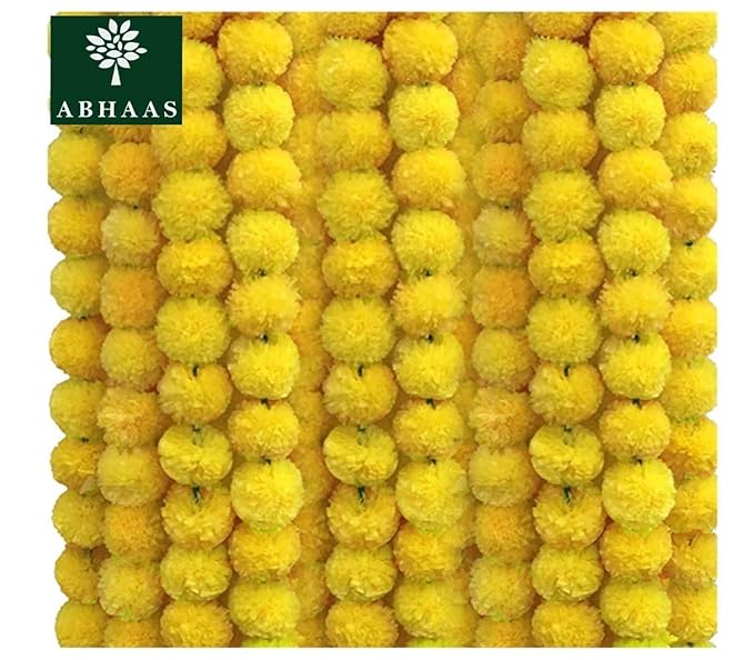 Diwali Puja kit