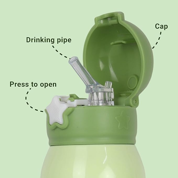 Femora Dino Thermosteel Double Wall Vacuum Kids Water Bottle with Bag - 350 gms