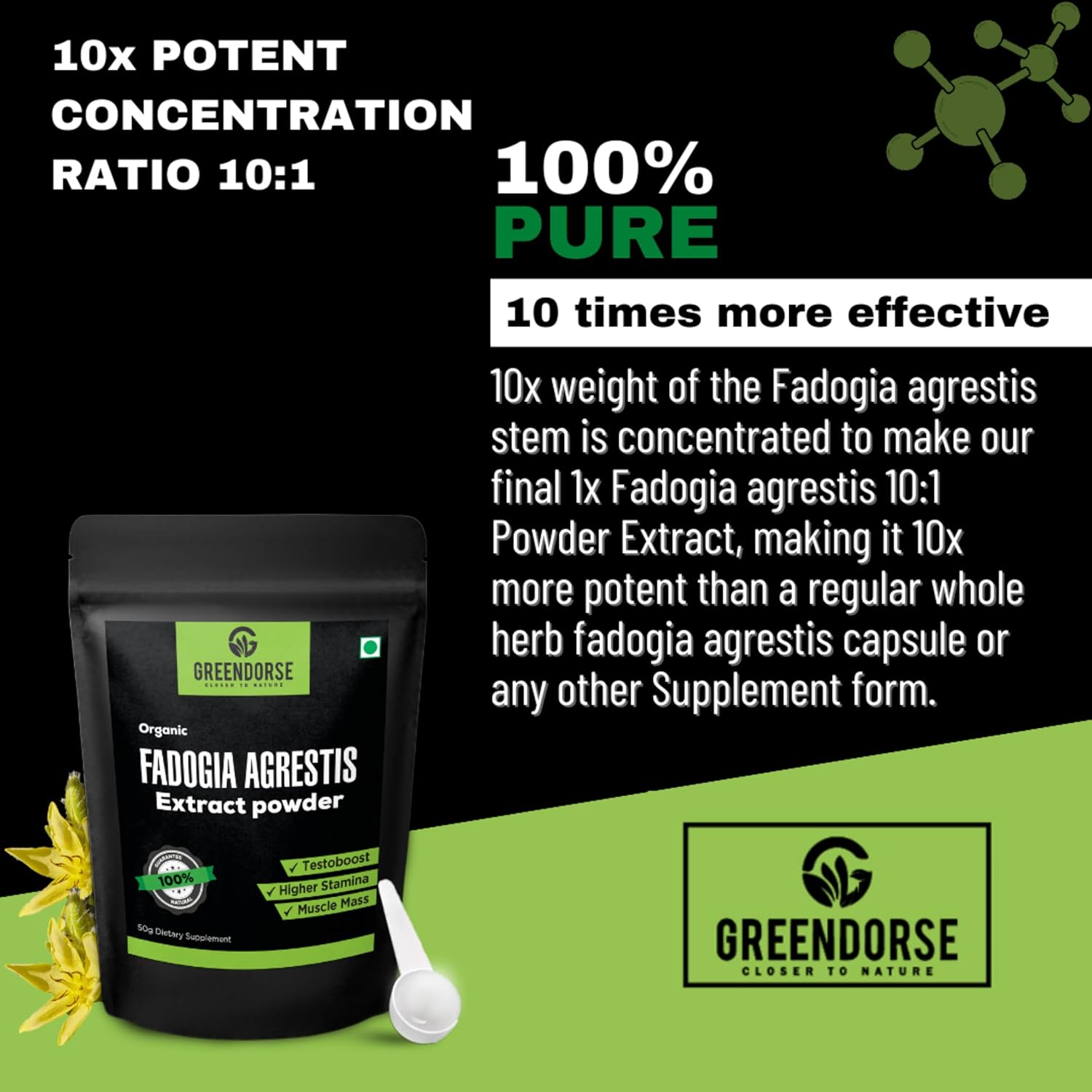 Greendorse Organic Fadogia Agrestis Extract Powder - 50 Gms