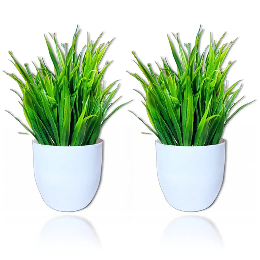 Plastic Artificial Potted Plants For Home Showcase Decor & Office Table Decoration 2 Mini Size Plants White Green