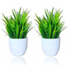 Plastic Artificial Potted Plants For Home Showcase Decor & Office Table Decoration 2 Mini Size Plants White Green