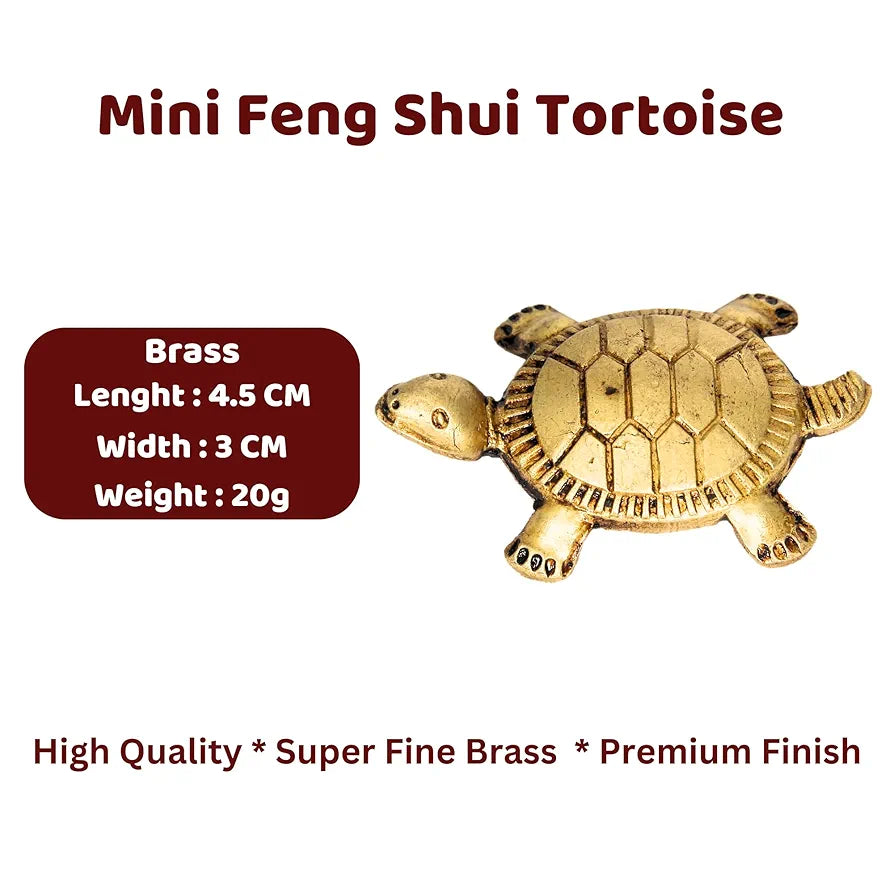 Anciently Feng Shui Tortoise for Good Luck Mini | Brass Tortoise Mini, Brass, Gold Colour, 1 Piece