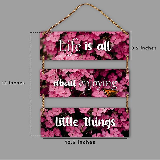 Sehaz Artworks Decorative Items for Home Home Decoration Items Wall Hangings  - 3-0003