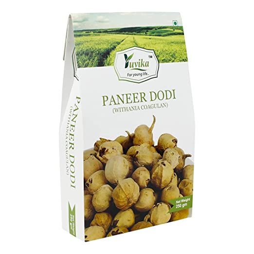 Yuvika Paneer Dodi - Paneer Ke Phool - Withania Coagulan