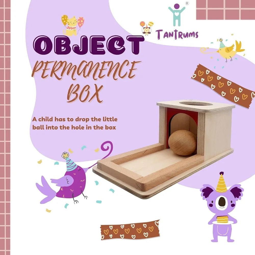 Tantrums Montessori Object Permanence Box with Tray and Ball Montessori Toys for Infant 6-12 Month 1 Year Old Toddlers | Early Childhood Development Learning Toys for Motor Skill Development