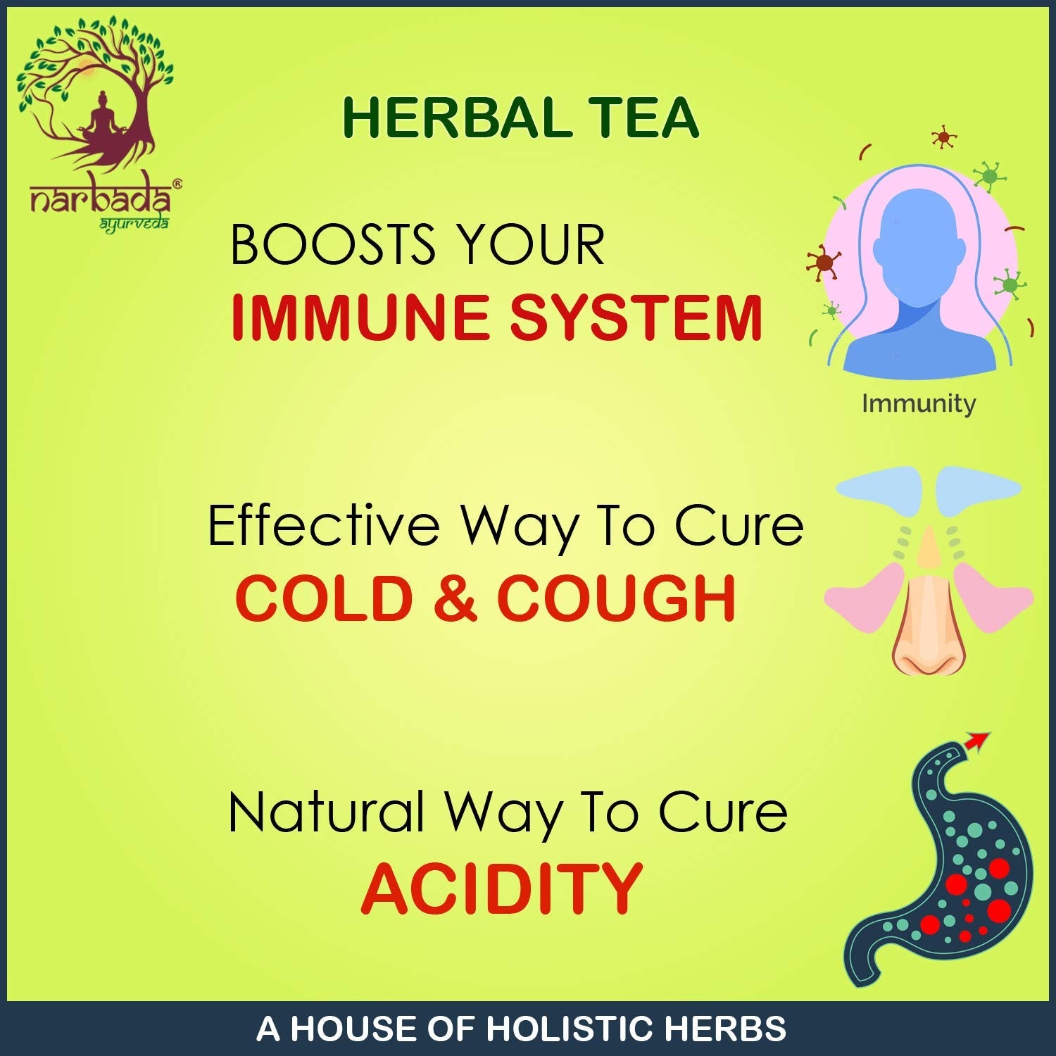 Narbada Ayurveda Herbal Tea - 100 gms