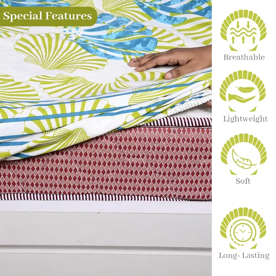 Divine Casa Cotton Acid Lime Bedsheet for Double Bed Elastic Fitted with 2 Pillow Covers  Calming Shells Colour Acid Lime