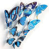 Xtore Plastic Reusable Self Adhesive Wall 3D Home Build Beautiful Butterfly with Sticking Pad  Ocean Blue