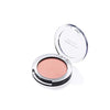 Faces Canada Perfect Blush - 5 gms