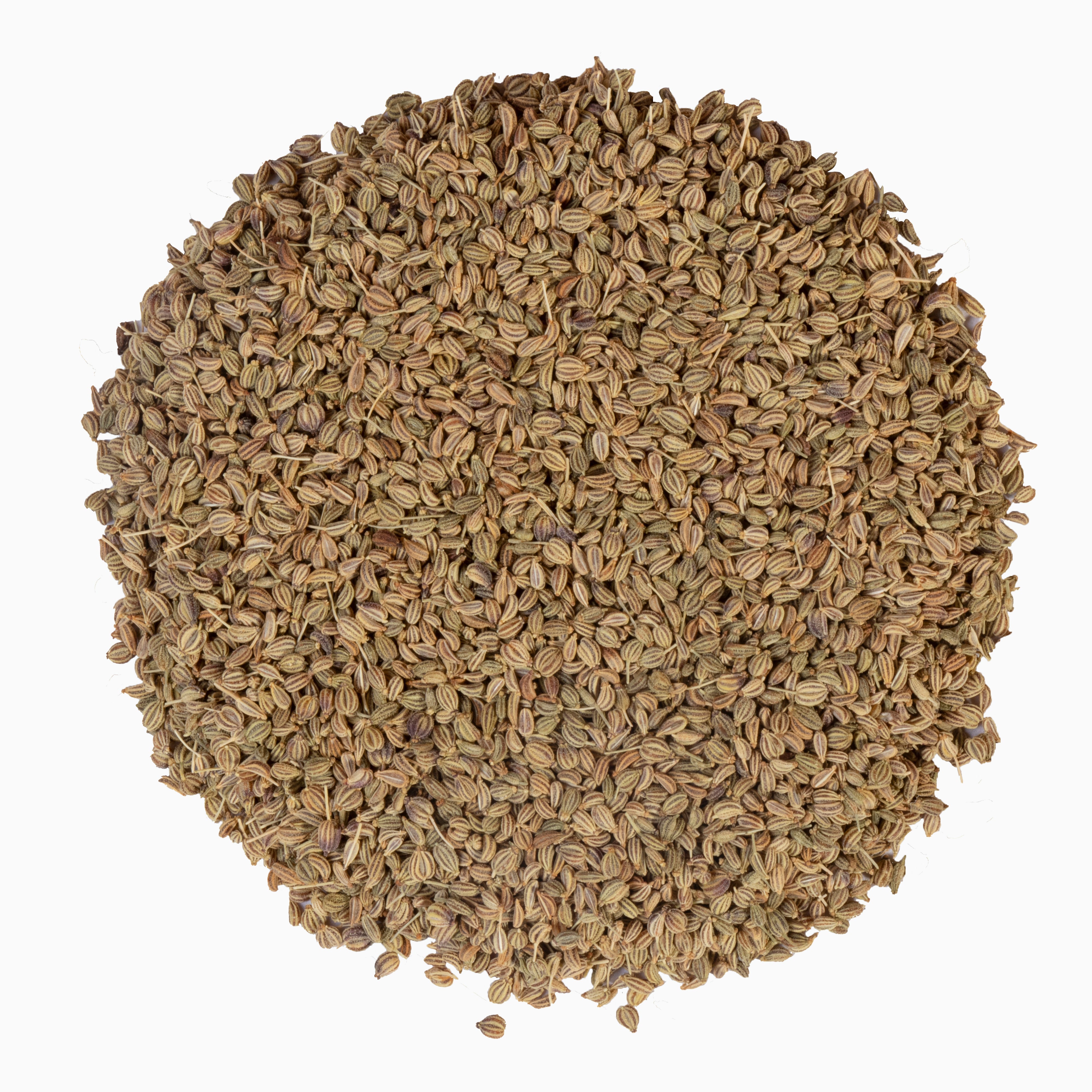 Yuvika Ajwain Desi Barik - Carom Copticum - Carom Seeds Small