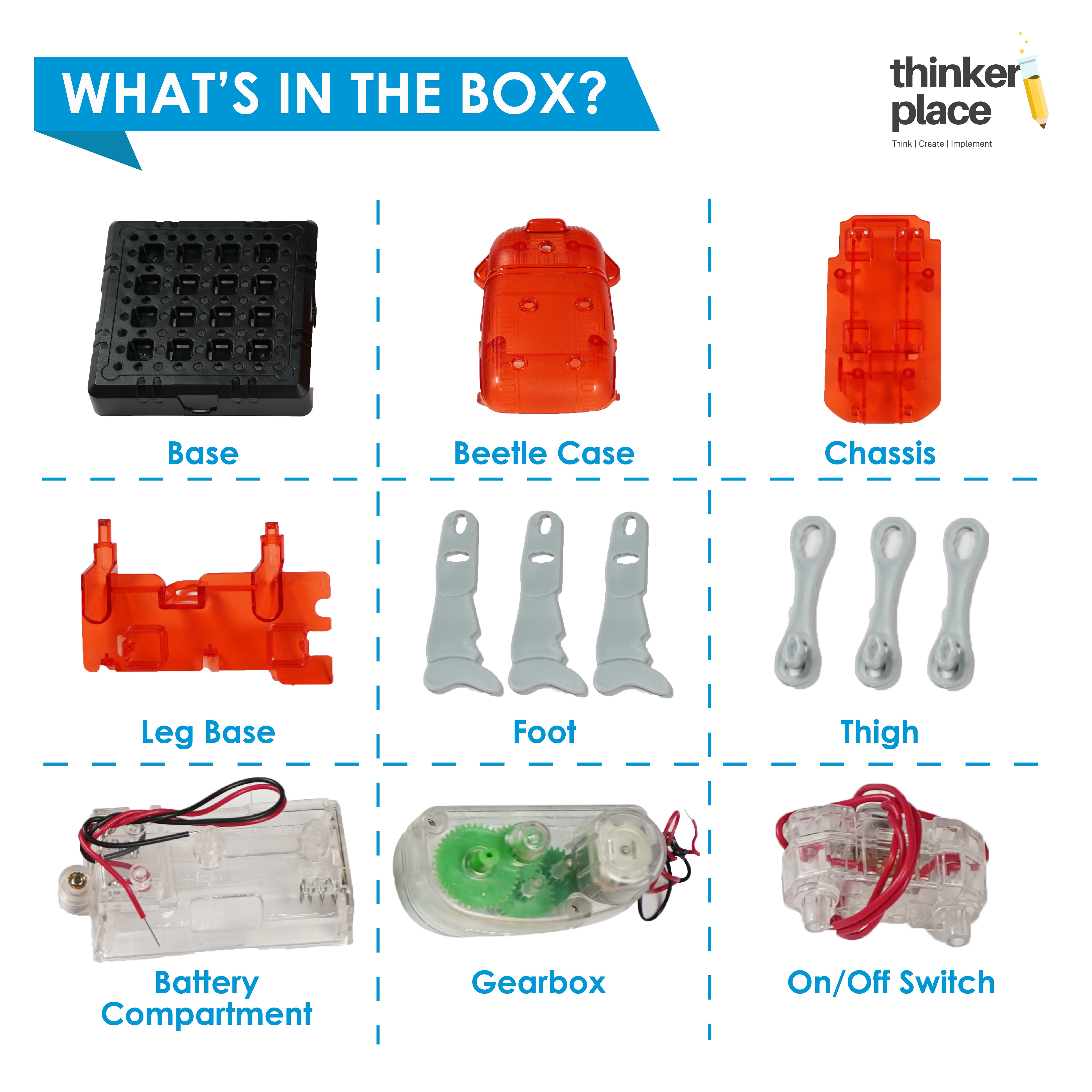 DIY Robotic Beetle - Learn about Robots
