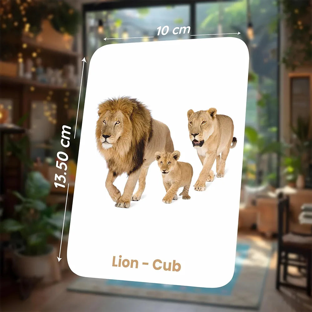 SPARTAN KIDS Animals & Their Babies Flash Cards for Kids | 27 Early Learning Language_Skills Flash Cards Easy & Fun Way of Learning 1 Year to 6 Years Babies