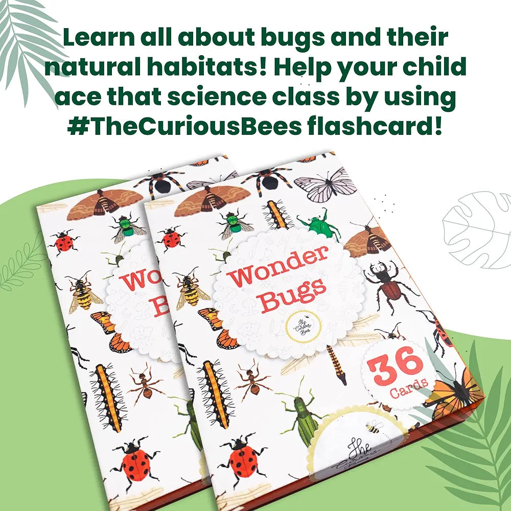 The Curious Bees - Wonder Bugs | 36 Laminated Anti-Glare Cards | Montessori Inspired Fun & Easy to Learn Toys for Kids