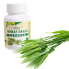 Sansu Wheat Grass Capsules- 30 tabs