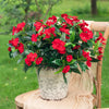 Artificial Impatiens Bouquet Flowers Silk Faux Flowers 4PCS Red-4