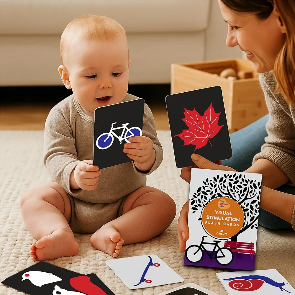 The Curious Bees - Visual Stimulation New Born Anti-Glare Cards | 24 Objects for Visual Colour Stimulation, Cognitive & Sensory Development of 6-12 Month Old Kids