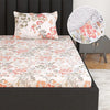 Divine Casa 144 TC 100% Cotton Floral Print Peach Super Soft Elastic Fitted Bedsheets Single Bed Colour Peach amber
