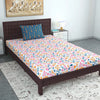Divine Casa Bedsheet for Single Size Bed 144 TC Cotton Bedsheet for Single Size Bed with 1 Pillow Cover  Floral Colour Peach Blue