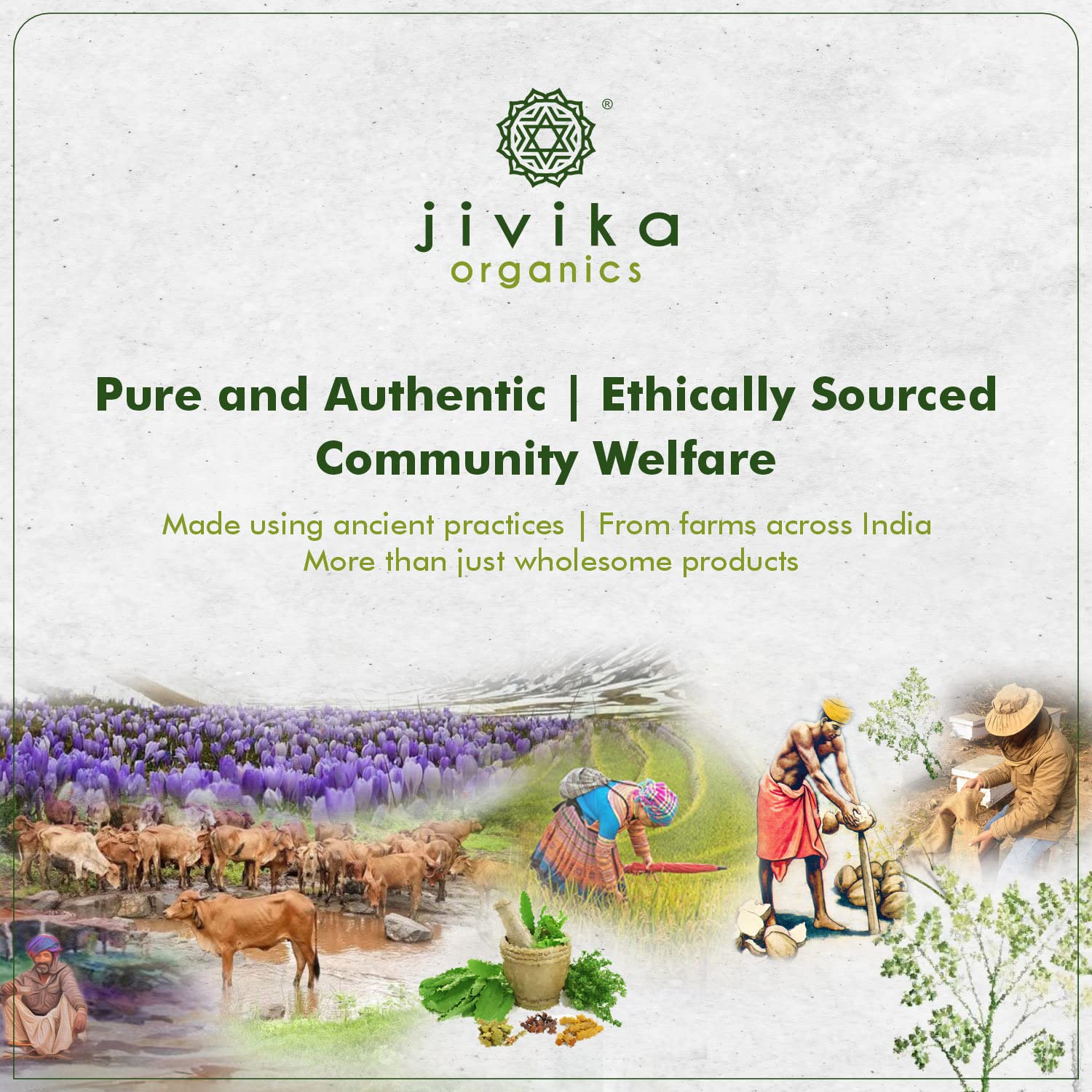 Jivika Pure Natural Bilona Cow Ghee - 1000 ml