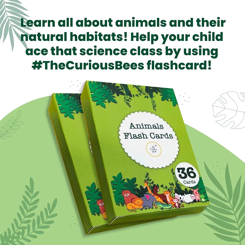 The Curious Bees - Animals Flash Cards | 36 Laminated Cards for Kids | Age Group: 1-4 Years | Fun Early Educating Activity for Kids