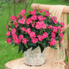 Artificial Impatiens Bouquet Flowers Silk Faux Flowers 4PCS Rose Red-4