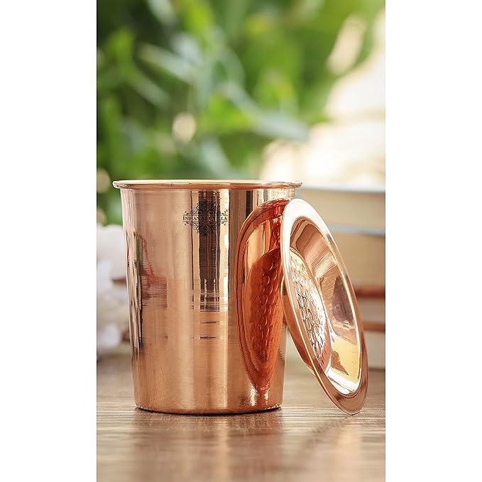 Indian Art Villa Copper Glass Tumbler with Lid Plain Design