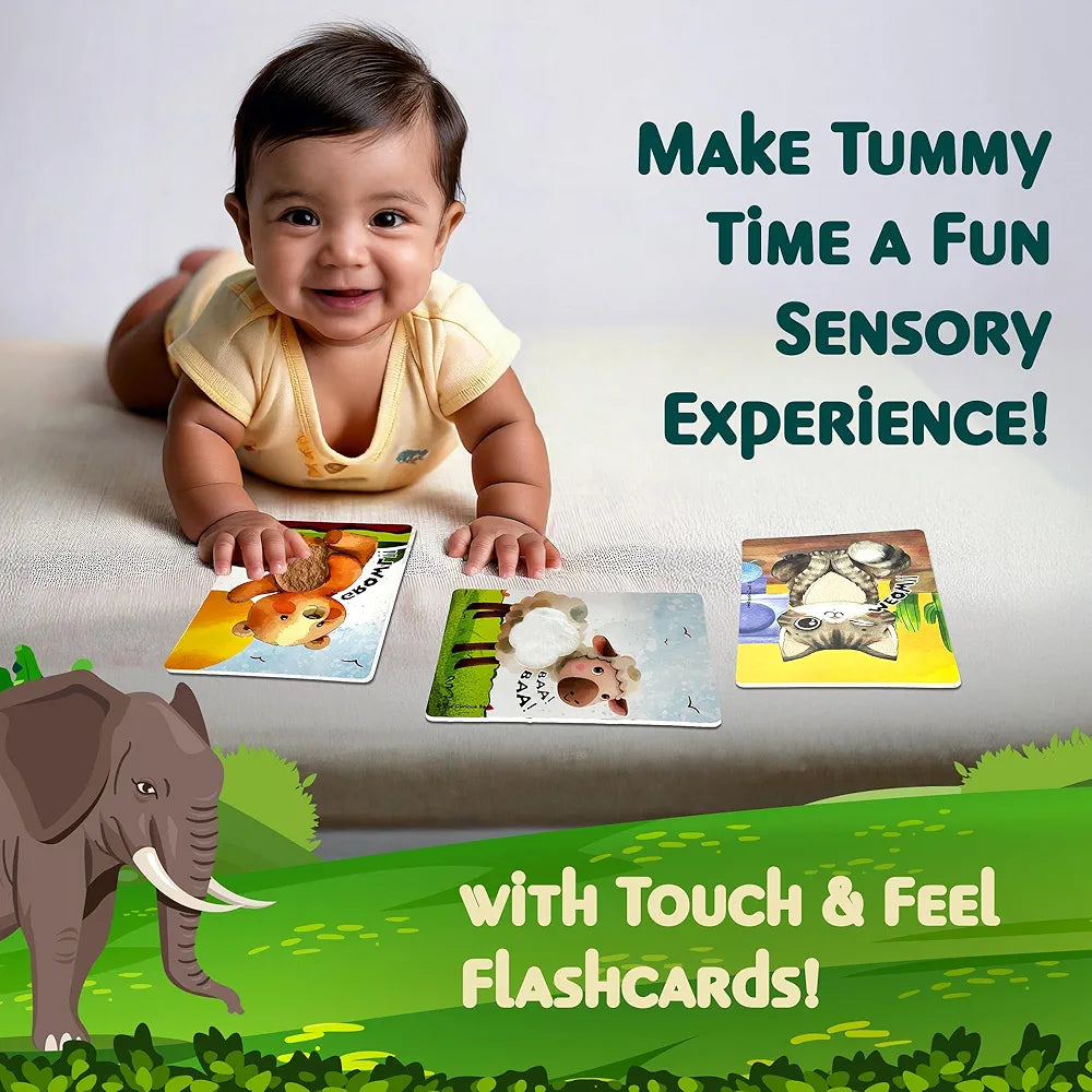 The Curious Bees - Animals Touch & Feel Sensory Cards | 12 Animals & 6 Textures to Enhance Sensory, Cognitive, Spatial & Hand Eye Co-Ordination Skill Development