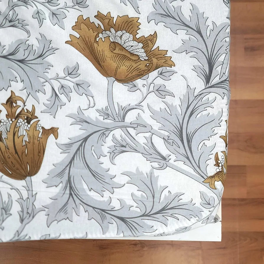 Divine Casa 144 TC Cotton Super Soft Brushed Elastic Fitted Floral Queen Size Double Bed Bedsheet with 2 Pillow Cover Colour Biscuit