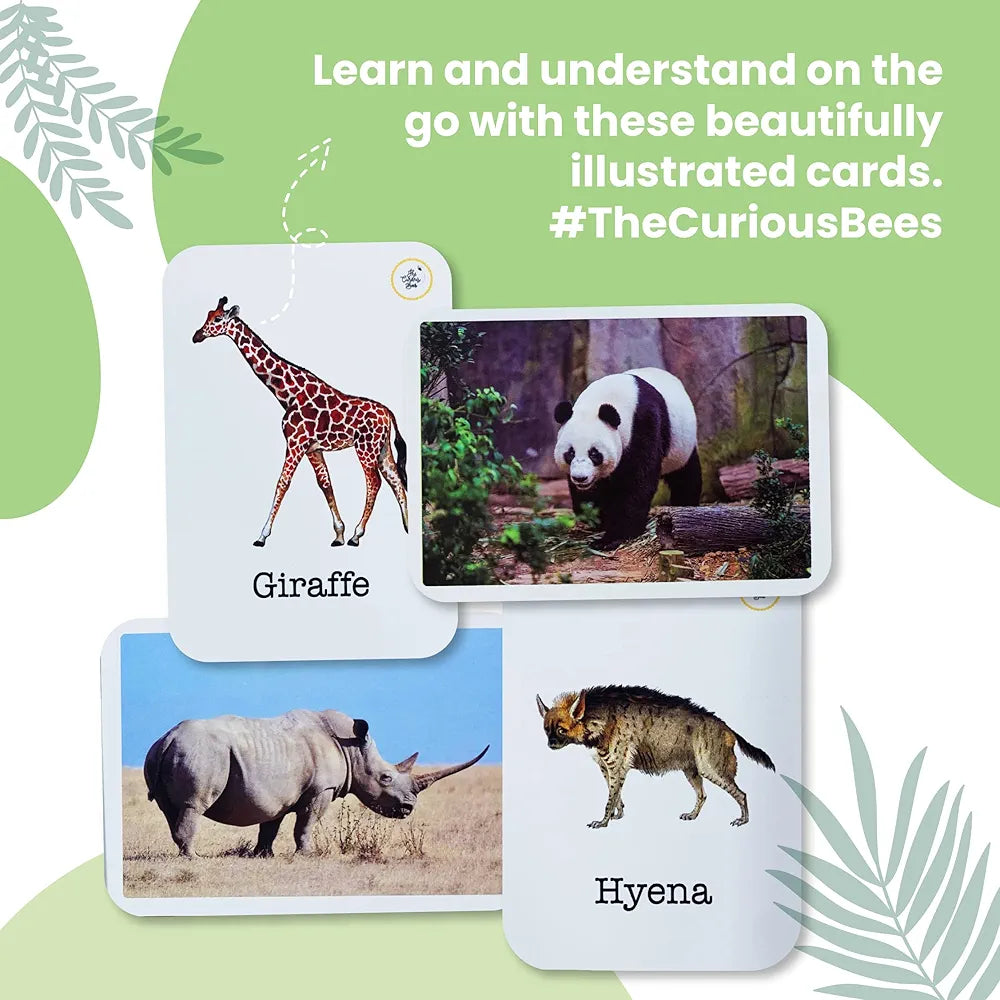 The Curious Bees - Animals Flash Cards | 36 Laminated Cards for Kids | Age Group: 1-4 Years | Fun Early Educating Activity for Kids