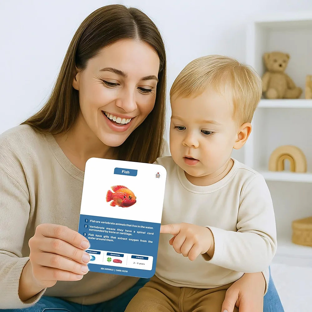 SPARTAN KIDS Sea Animals Flash Cards for Kids Cognitive_Skills | 27 Early Learning Flash Cards Easy & Fun Way of Learning 1 Year to 6 Years Babies