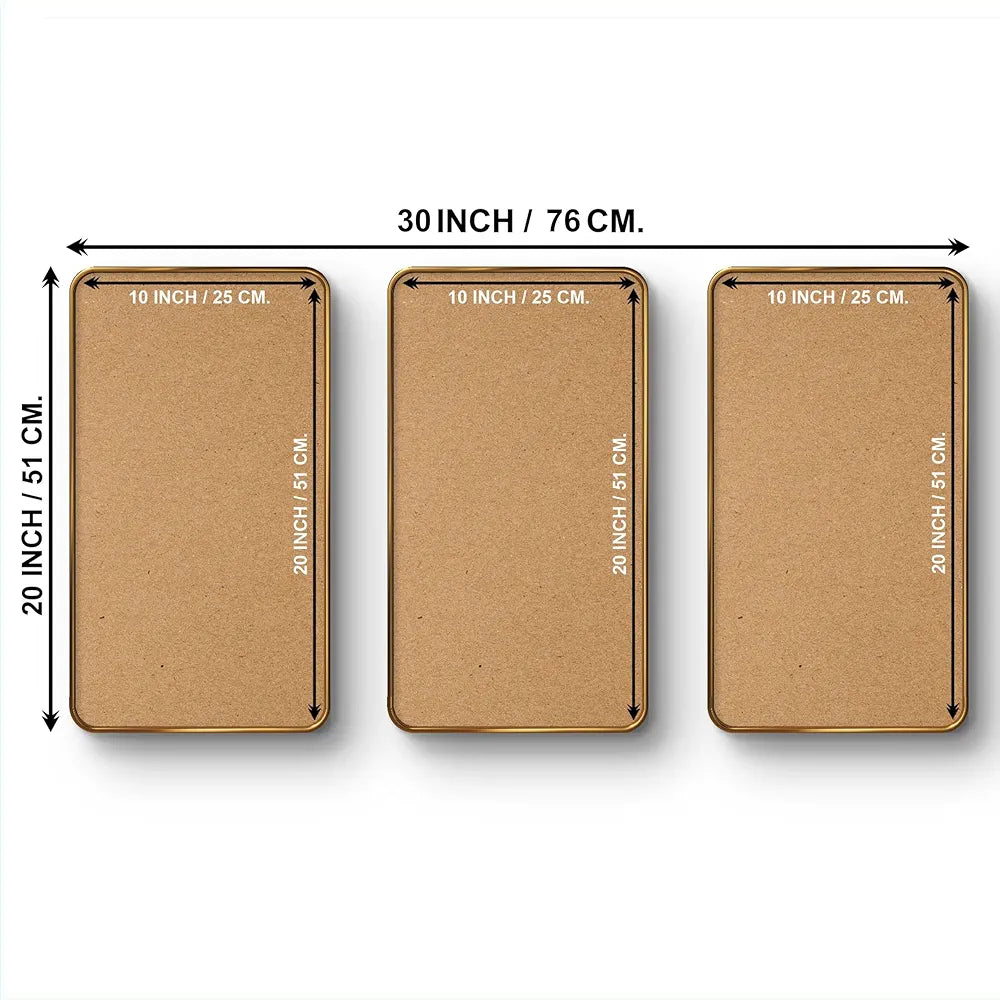 Livin'luxe Set of 3 Flowers Modern Art Boho Painting Premium Framed Laminated Wall Paintings SP-19